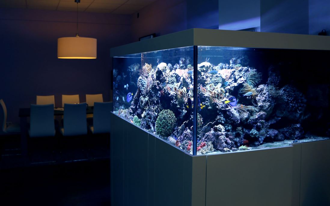 aquarium