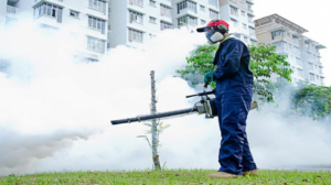 pest control service