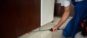 home pest control